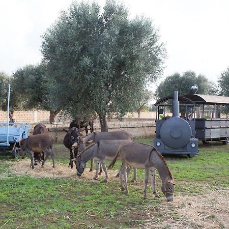Masseria Grande Taurisano Ngoại thất bức ảnh
