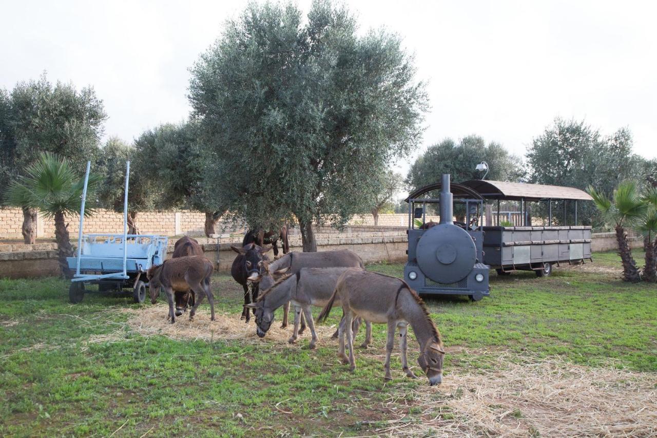 Masseria Grande Taurisano Ngoại thất bức ảnh